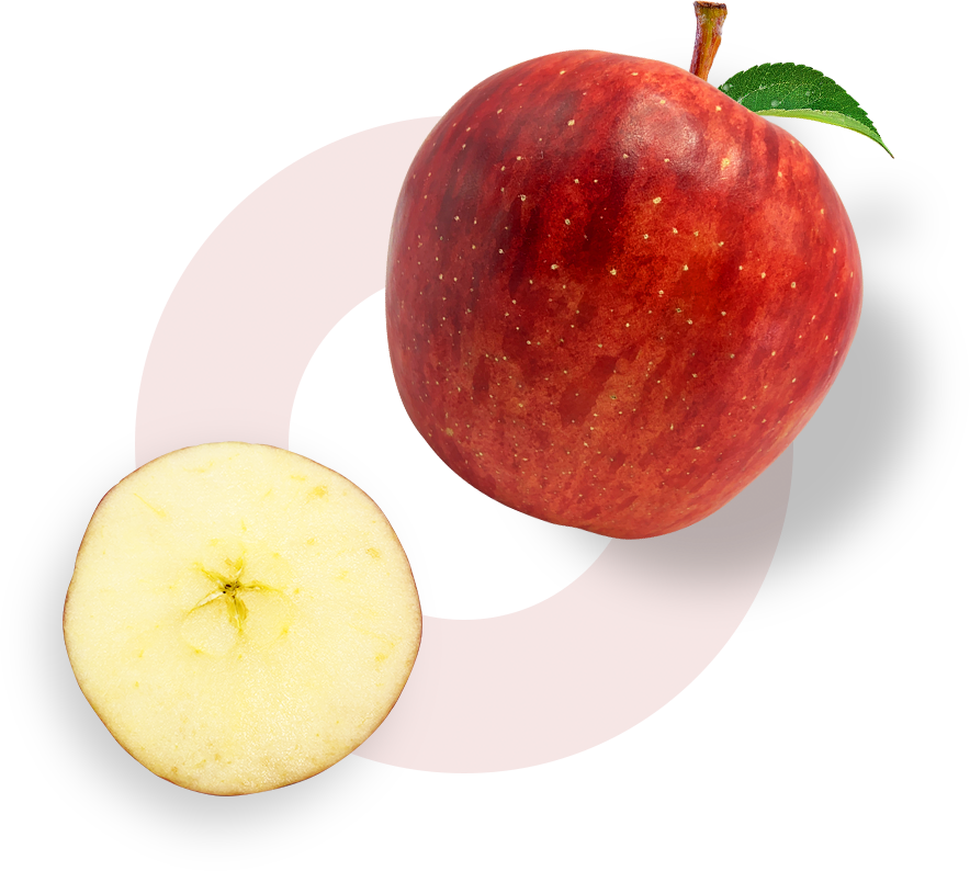 01-首頁(yè)-秦脆.png